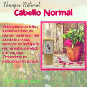 SHAMPOO CABELLO NORMAL