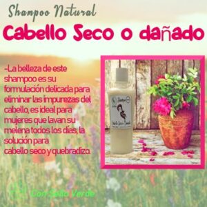 SHAMPOO CABELLO SECO